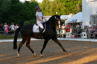 beritt-pferd-bianca-bez.jpg