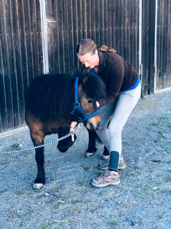 pferdeosteopathie-pony.jpg